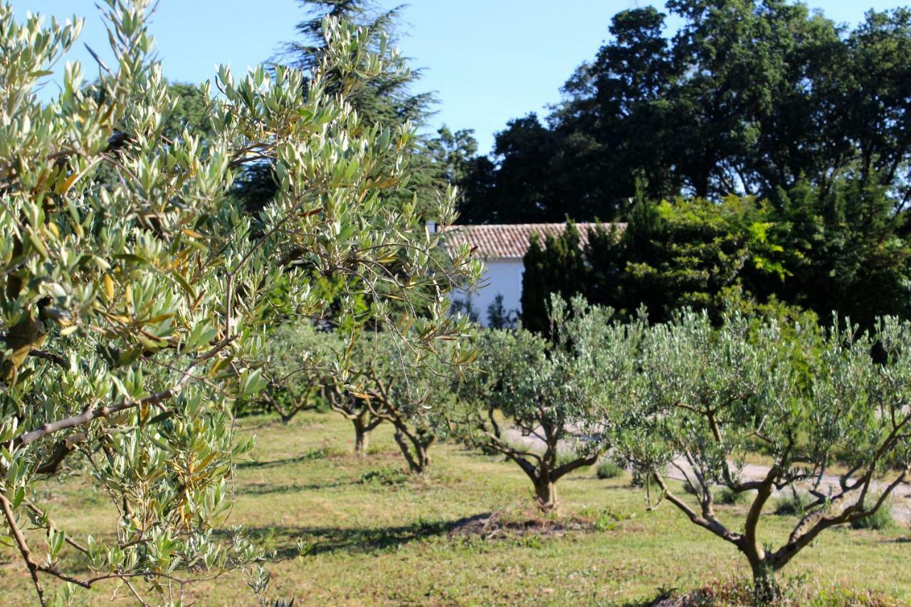 B&B Mas De Caustes Saint-Remy-de-Provence Exterior photo