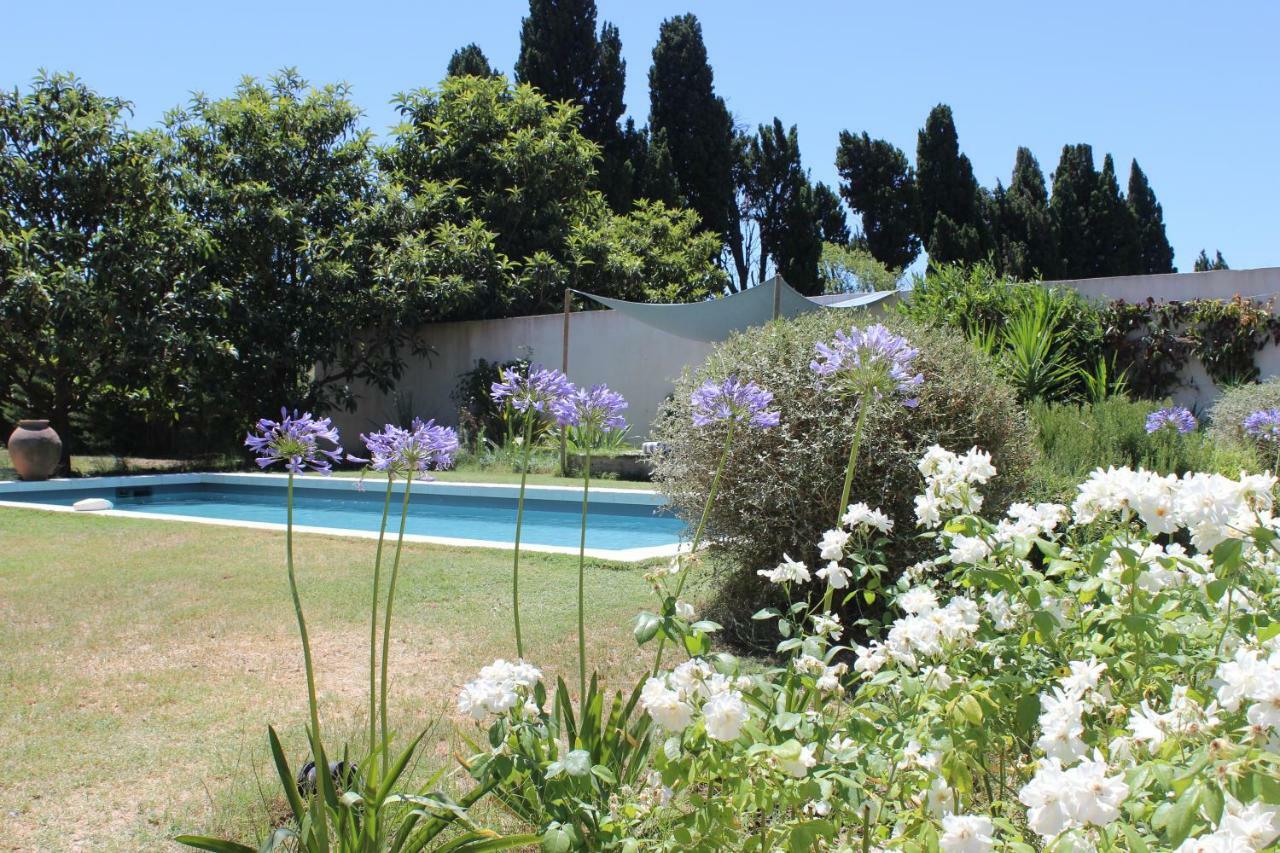 B&B Mas De Caustes Saint-Remy-de-Provence Exterior photo