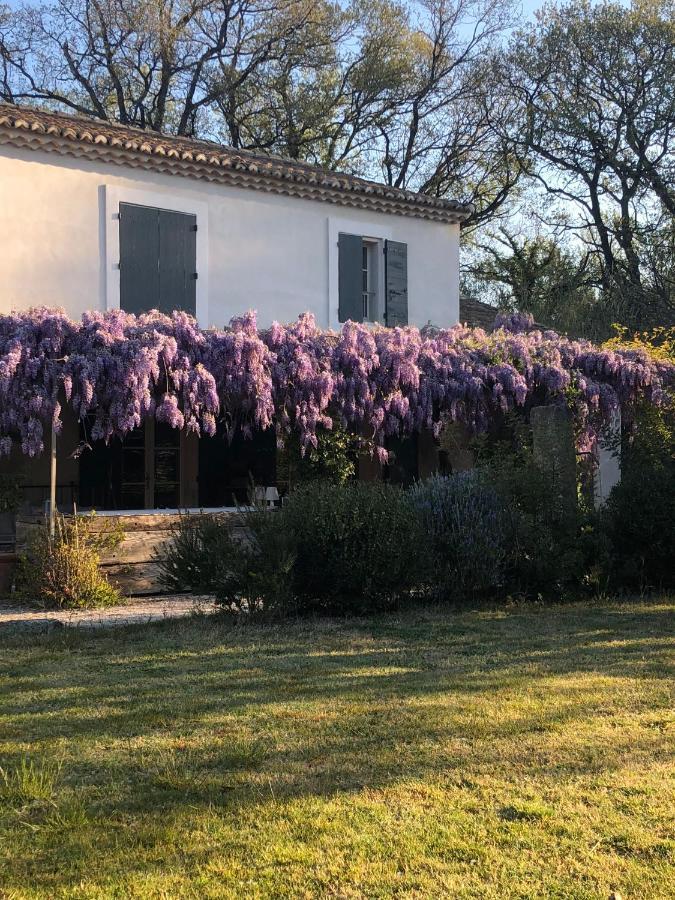 B&B Mas De Caustes Saint-Remy-de-Provence Exterior photo